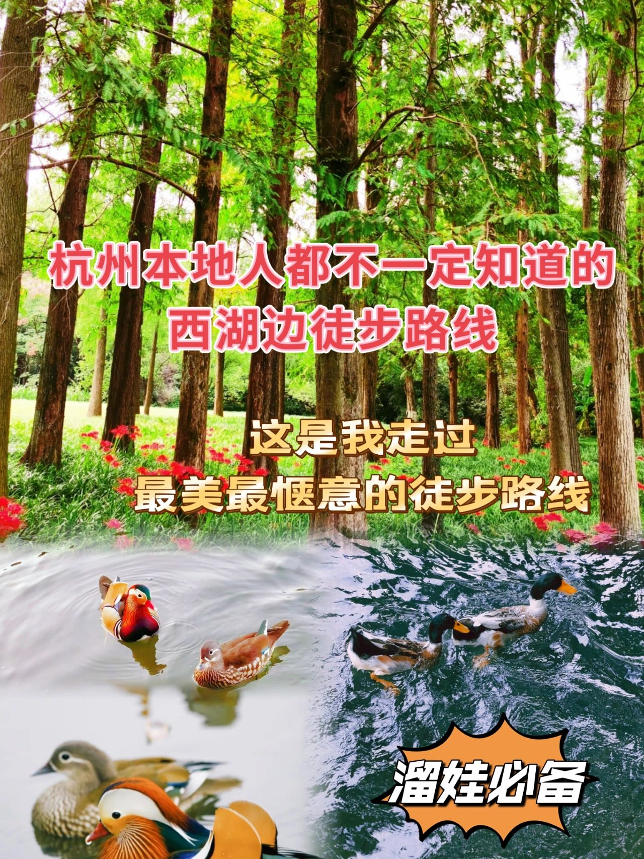 来徒步不见外，西湖边最治愈的徒步路线