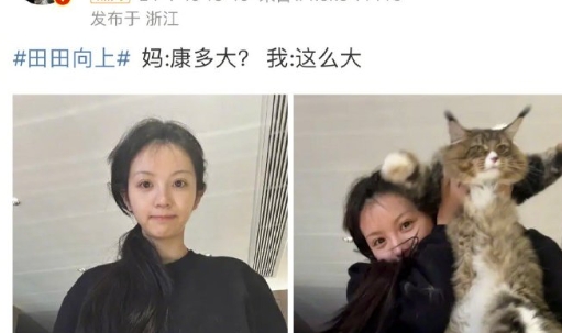田曦薇特意晒猫，并在评论里强调“撞翻所有人”，疑似回应粘毛器。

此前，田曦薇在