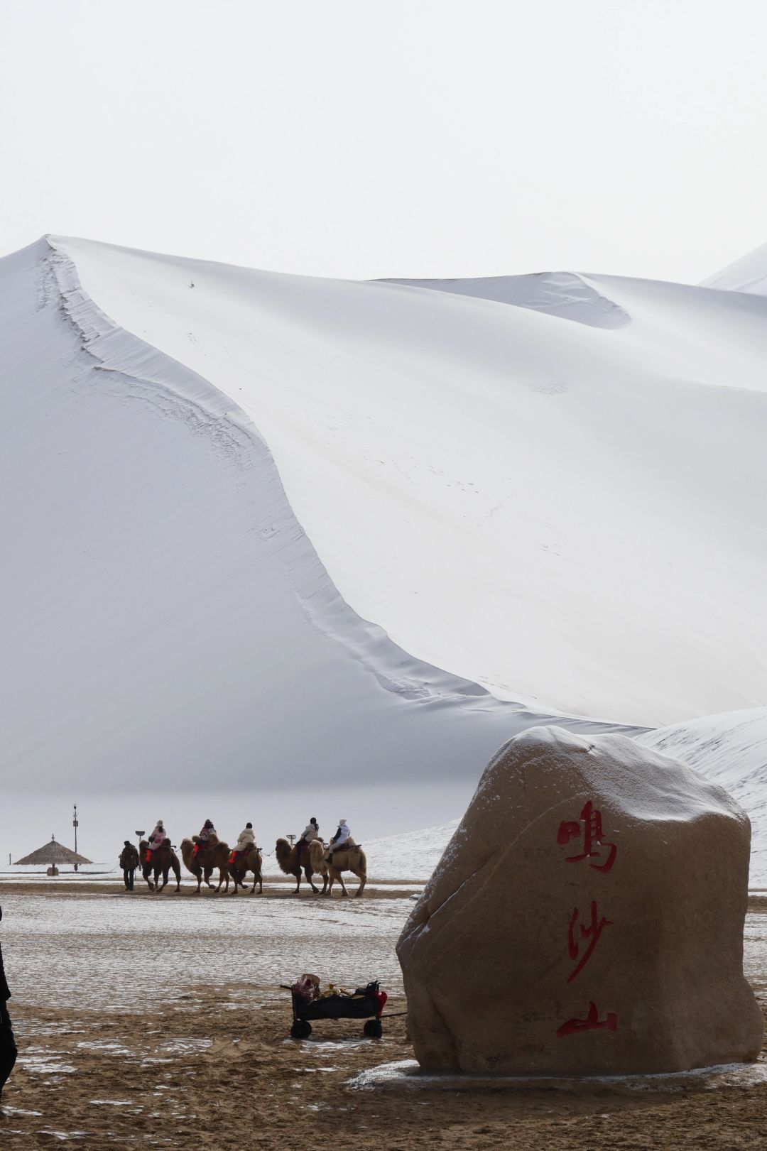 敦煌下雪啦！这下谁还分得清是沙漠还是雪山
今天一下火车就飘雪了！去到鸣沙山的时候