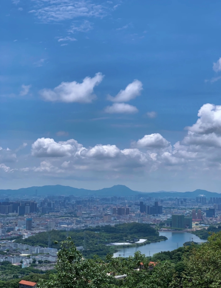 每周一山｜☀发现️广州徒步宝藏地🌿