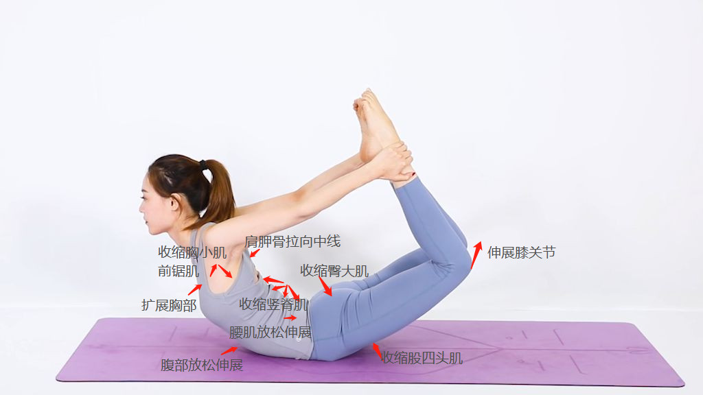 如何启动肌肉？这三个体式教你既安全又有深度的后弯练习