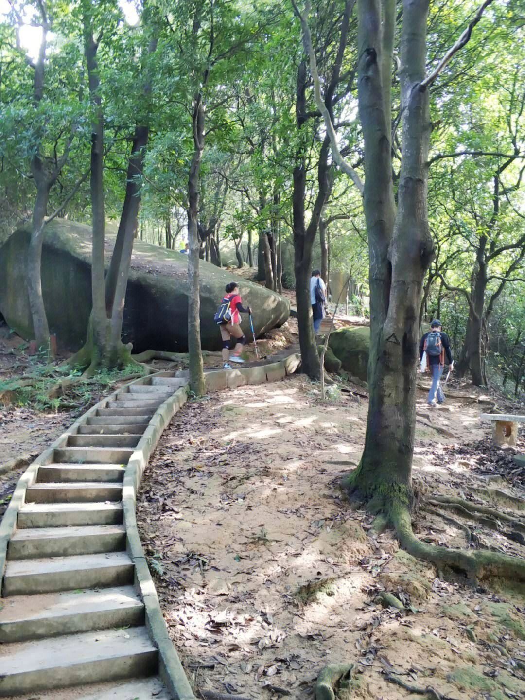 广州徒步去哪？👉56条户外徒步路线推荐