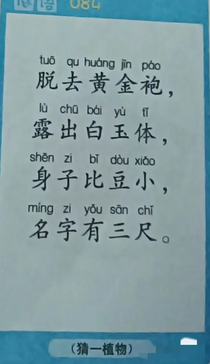 猜谜语：这应该是大家都喜爱的一种物品，给五年级的孩子猜，硬是没猜出来。现在的孩子