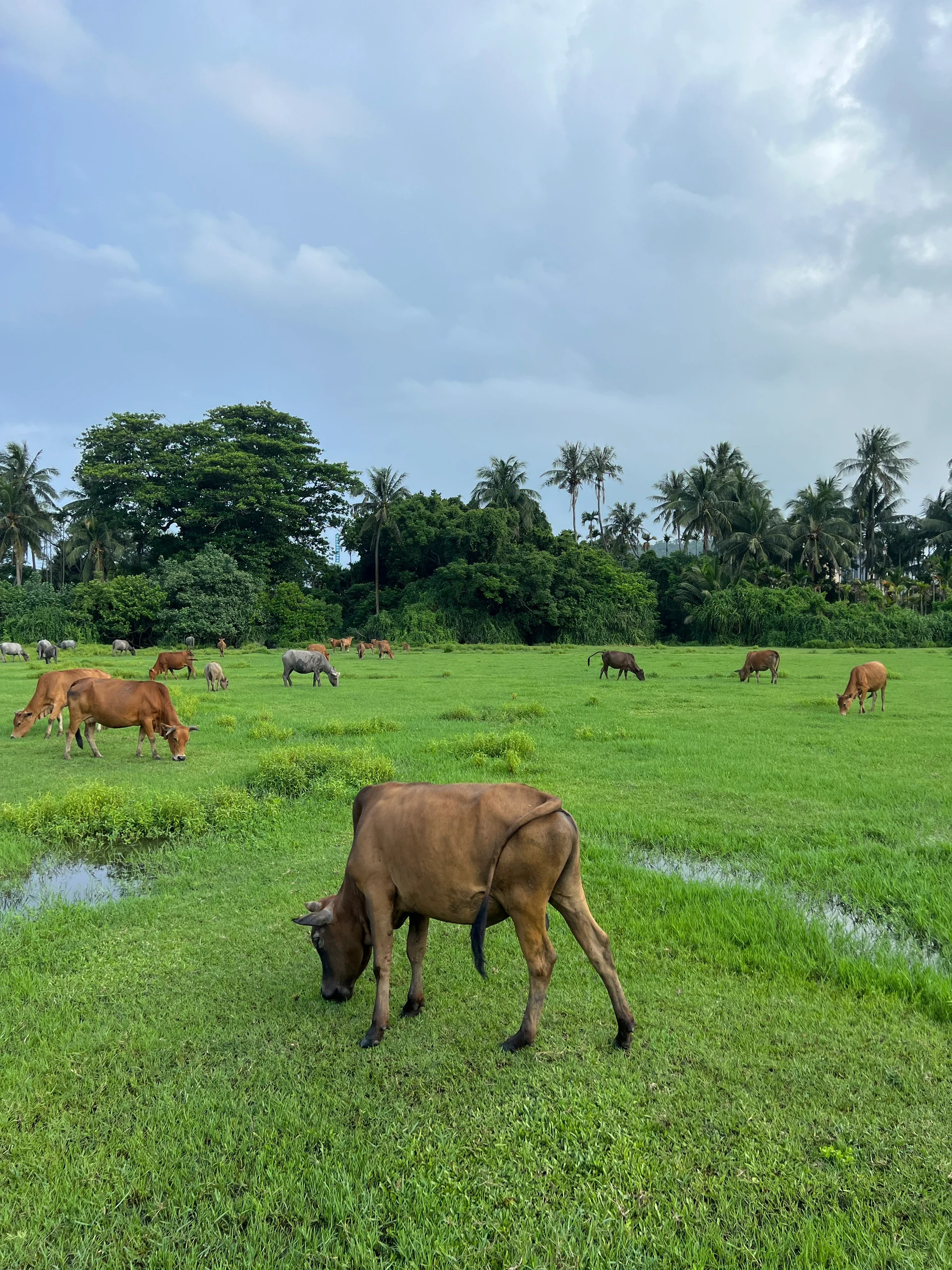 我找到了万宁陵水轻松遛娃的正确打开方式❗