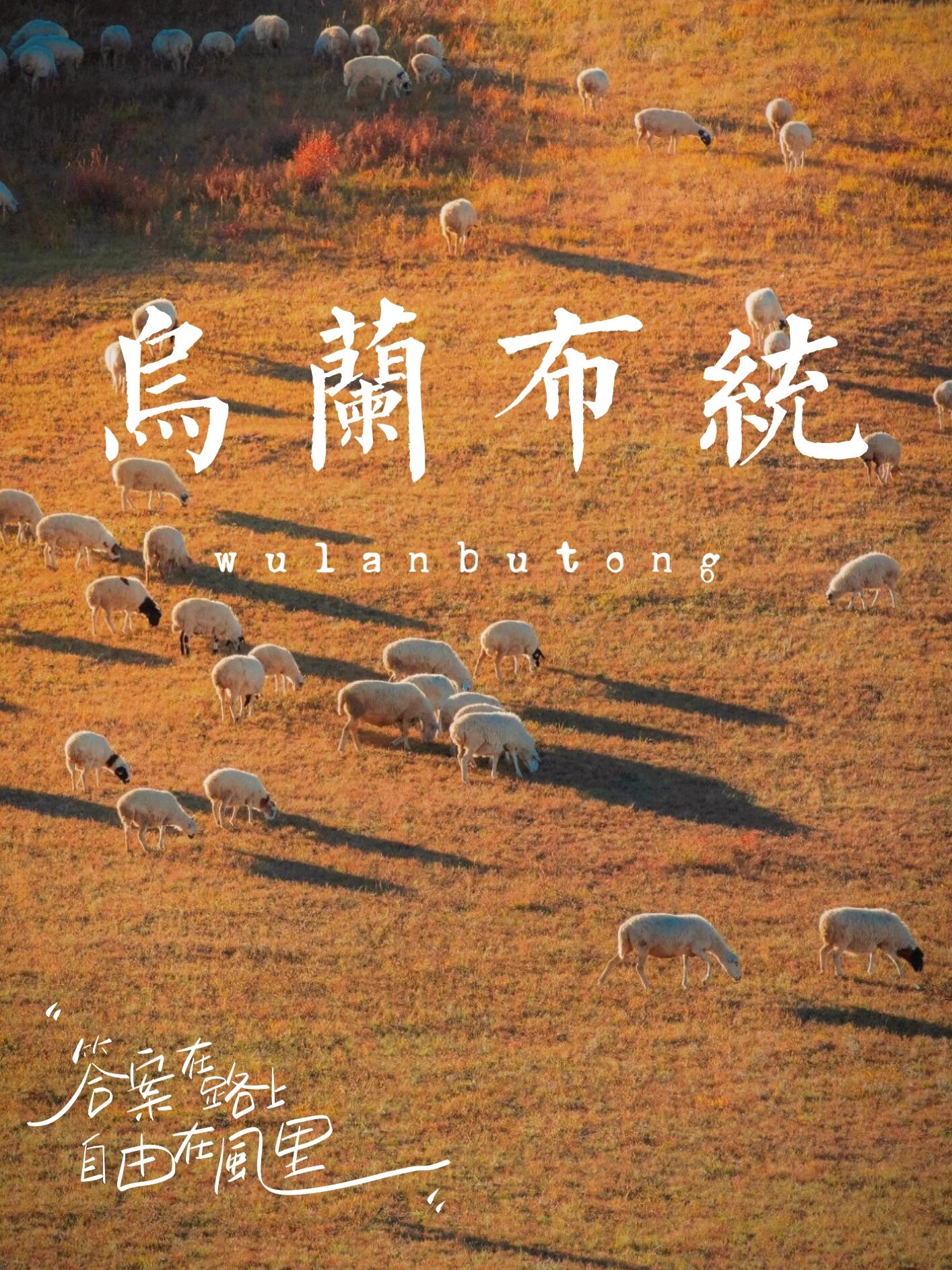 秋日限定🍂乌兰布统4天3晚攻略