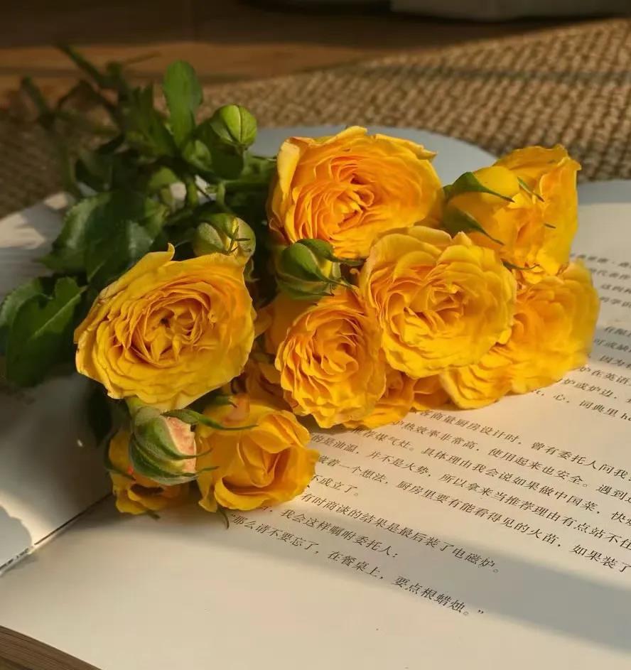 富二代真的是个很不错婚嫁群体，除了有点爱玩之外。
建议尽量从家庭条件好的男生里，