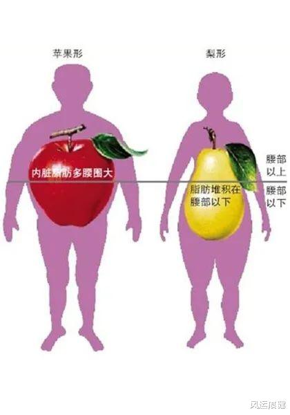 肚子一直圆鼓鼓的, 如何减少内脏脂肪?