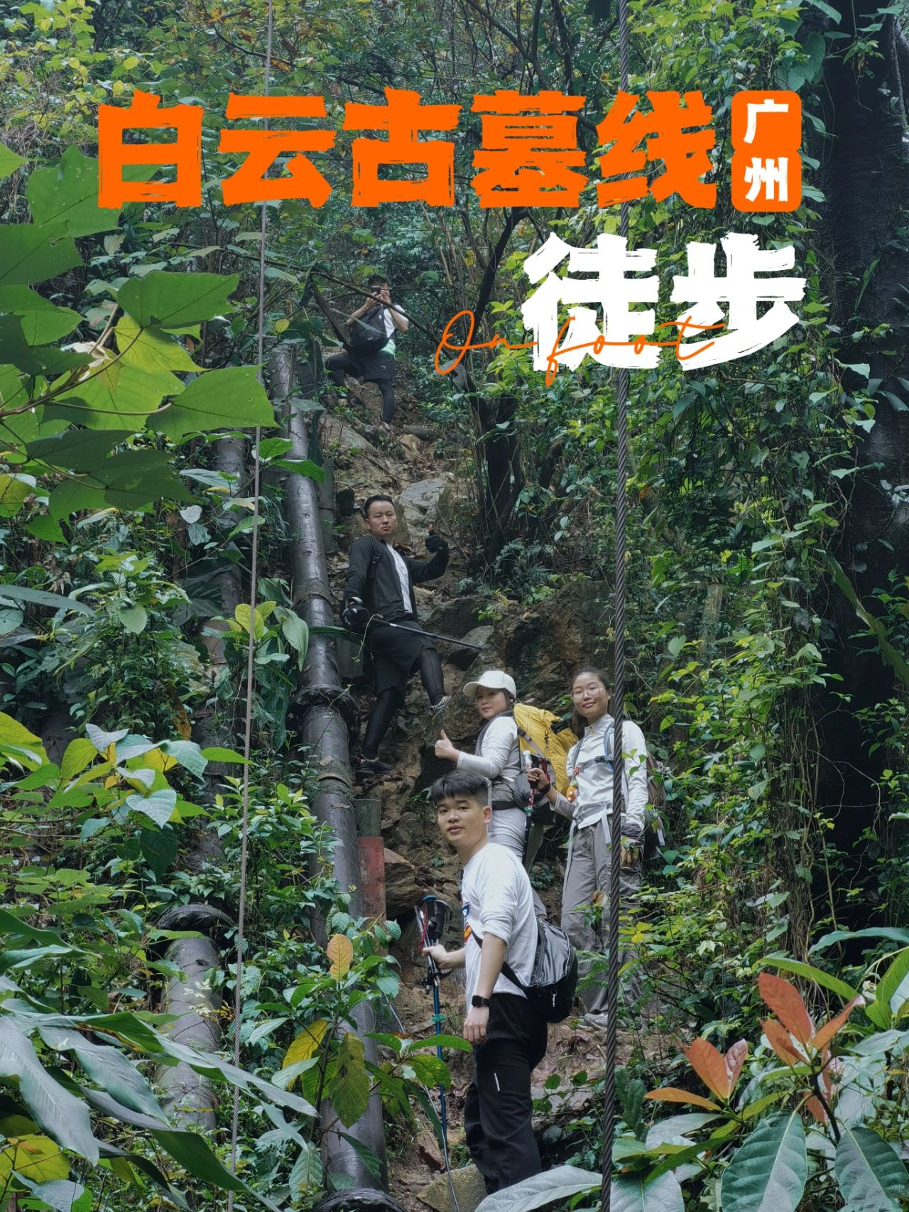 白云古墓线|每周一山 徒步