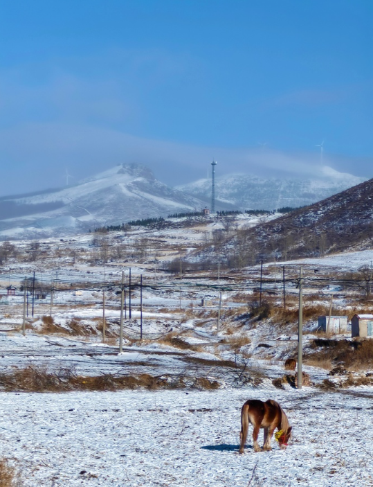 冬雪
凛冬北上赏雪乡，密友倾侧心喜狂。
银松倚岭平冰川，祥瑞白芒忘自裳。
冰发红