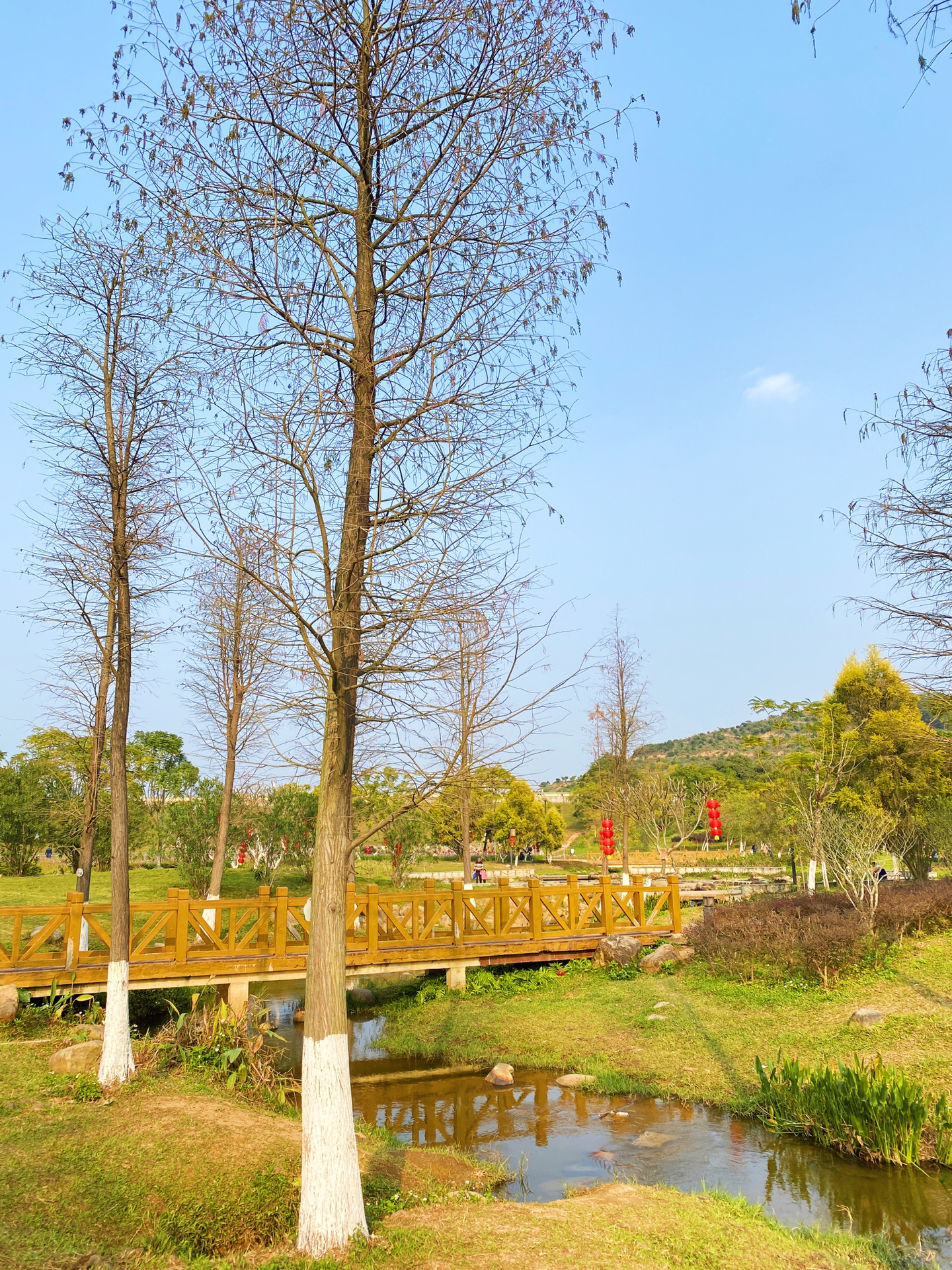 广州小众｜万田生态公园 大草坪可露营野餐