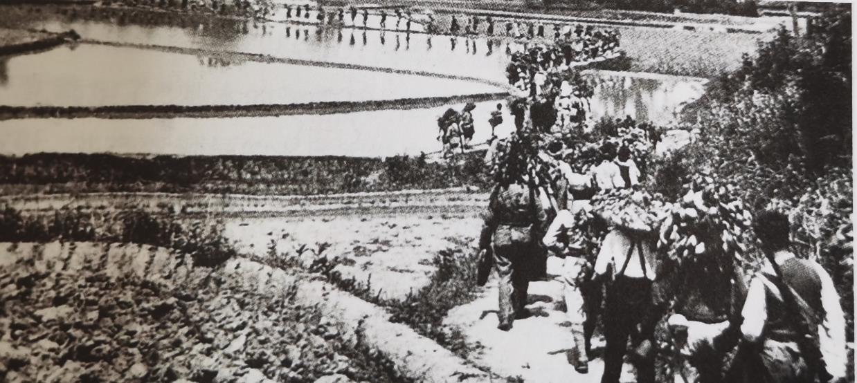 虽然中国曾经被瓜分而沦为半殖民地，但因为内部的大量人口当时仍然生存在农耕文明的稳