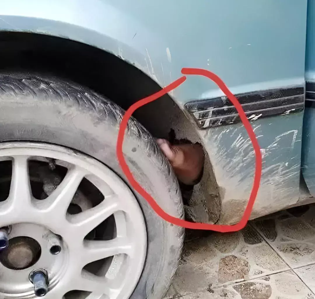 看得出来，这位大哥“刹车”的时候是真的着急啊！