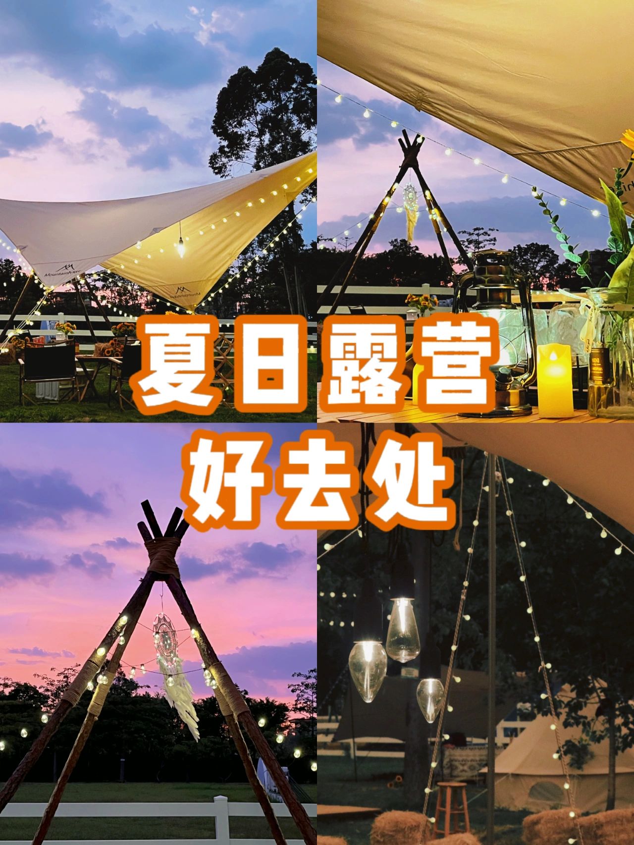 番禺新晋艺术露营地⛺️梵高的向日葵上线❗