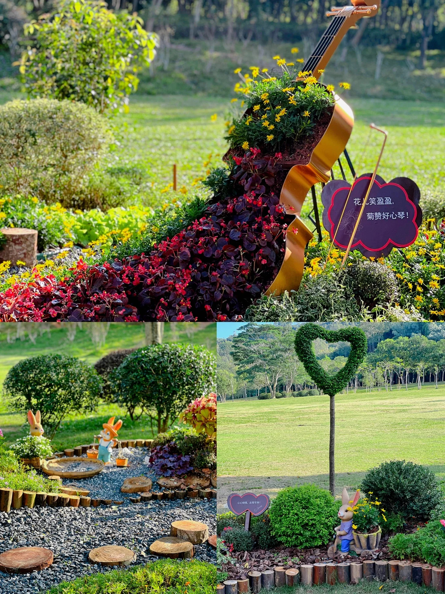 深圳露营/自驾直达超大草坪可搭帐篷的公园