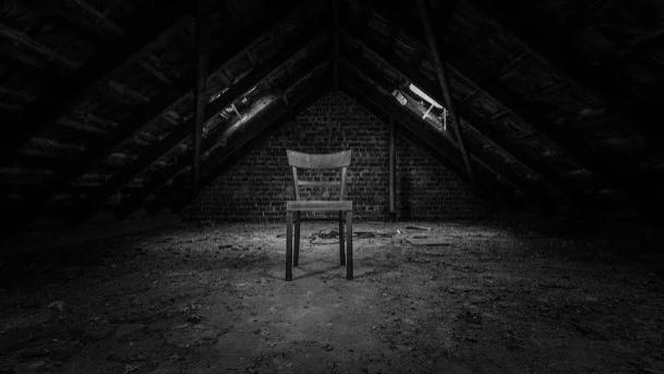 全家被杀，我是唯一的幸存者，警察怀疑我就是幕后真凶，很好，看来一切都在按计划进行......