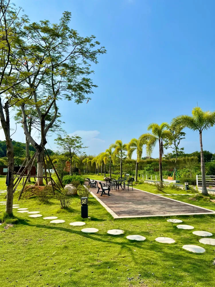 广州花都宝藏旅游地过竹洞村 小众古城