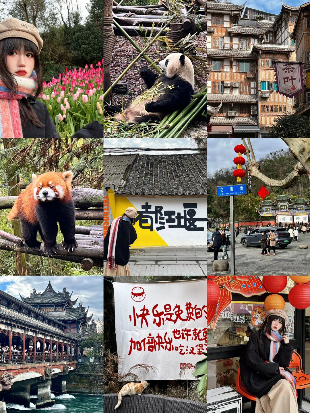 都江堰大年初六实况 一日游攻略路线推荐
1️⃣ 成都犀浦站-离堆公园站💰10
