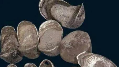 古代的银子真实的样子，是人都会嫌弃