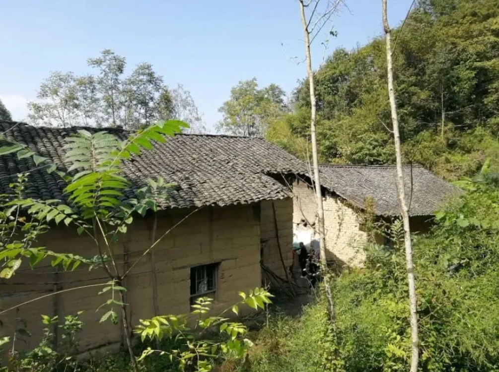 “一怕树压房，二怕床上梁，三怕坟后疮”，古时房屋结构与树木种植相互关联，在住宅周