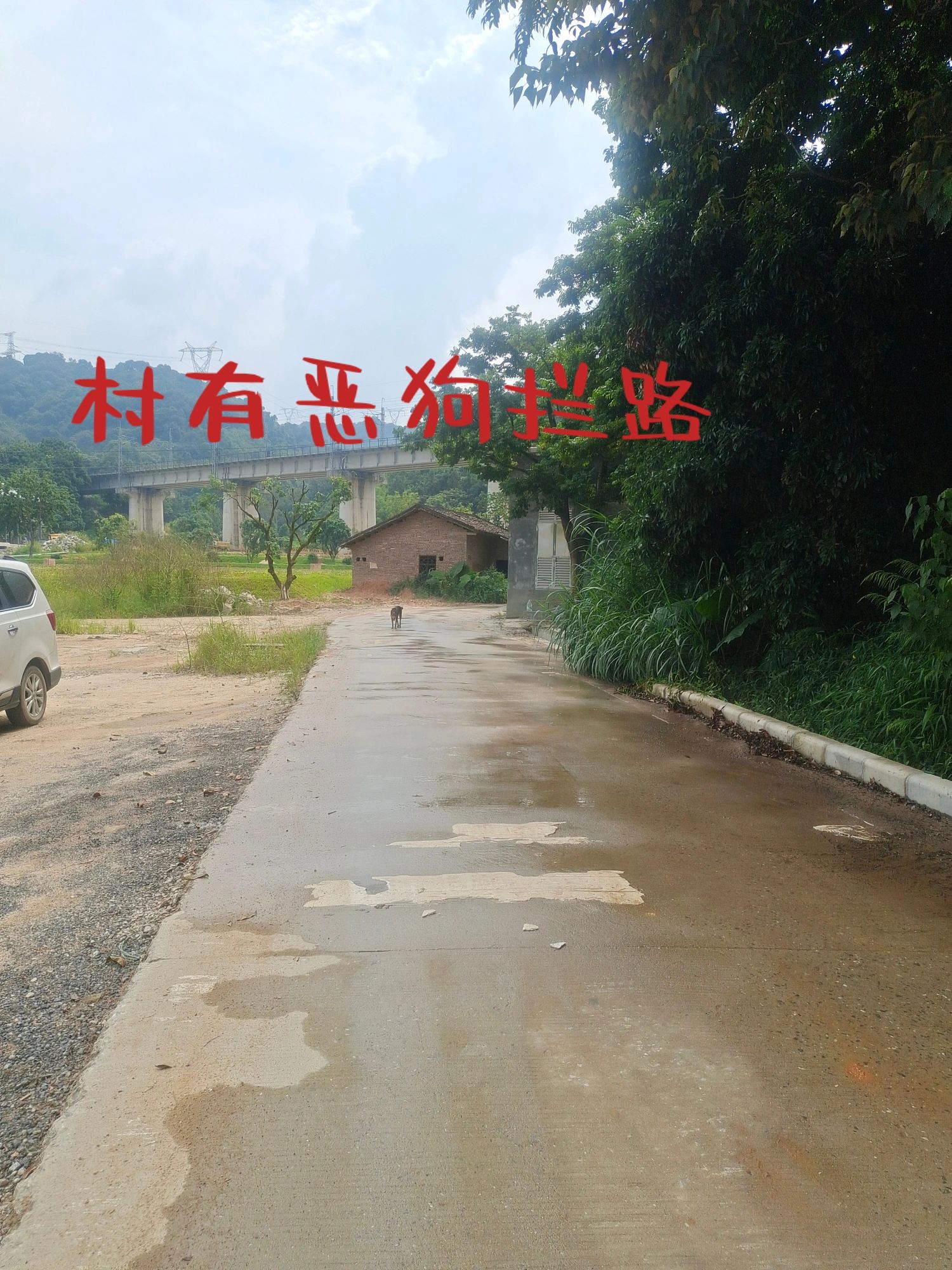 新手怒徒18km，遇深林开路