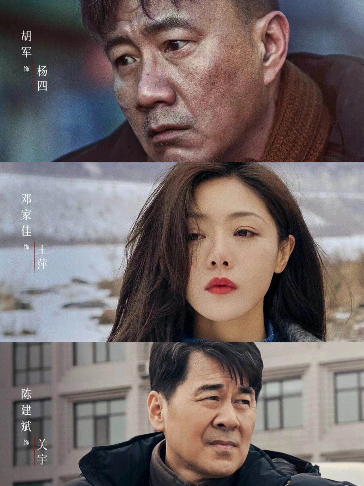 悬疑刑侦大剧‼️阵容绝了