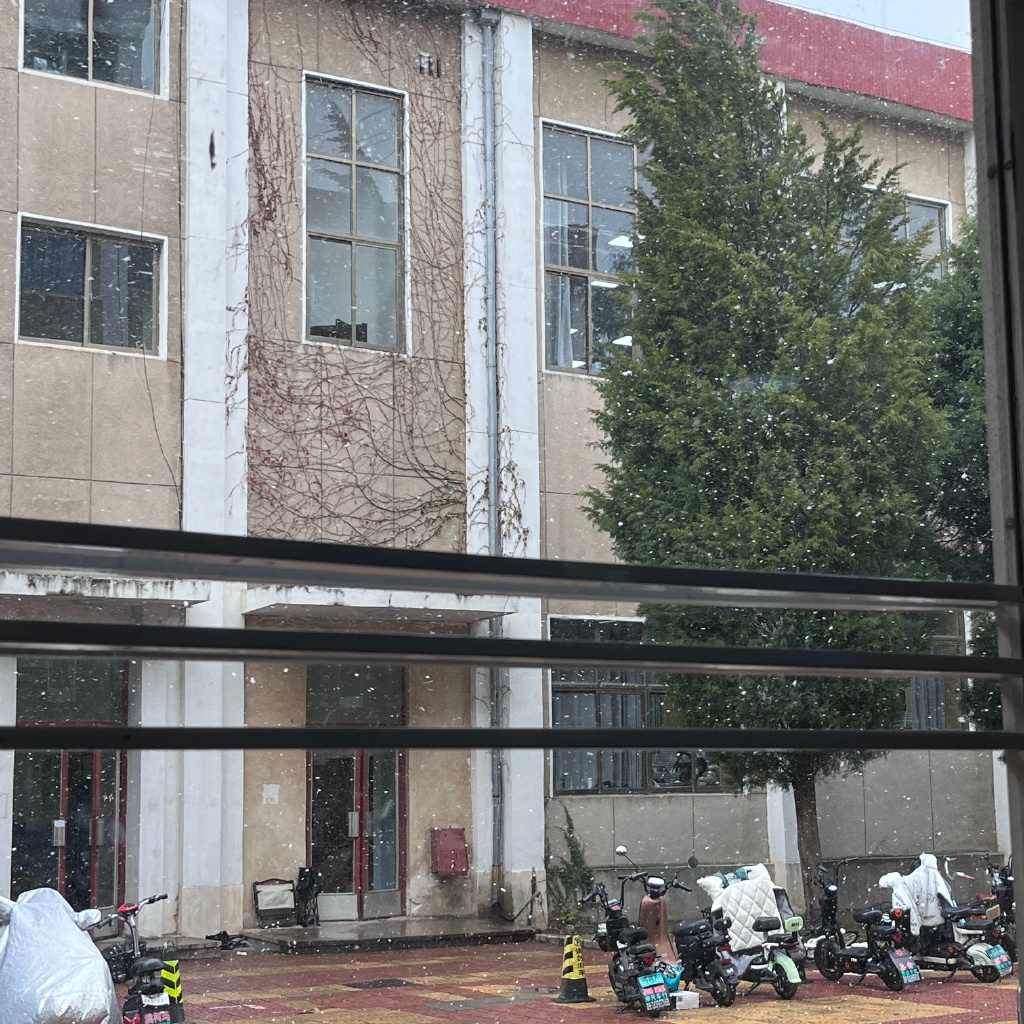 呜呜呜好像前几年都没看到这么猛的雪❄️
学习暂停，开始看雪❄️
再加上这里的风真