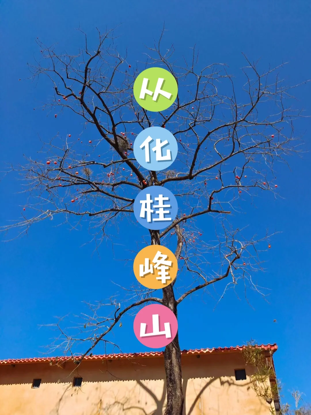 一日徒步｜从化十登💯从化桂峰山🍅