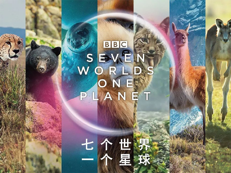 #宝妈育儿交流# 看世界不一定要出门旅游，我们也能够通过视频的窗口来让孩子见识到