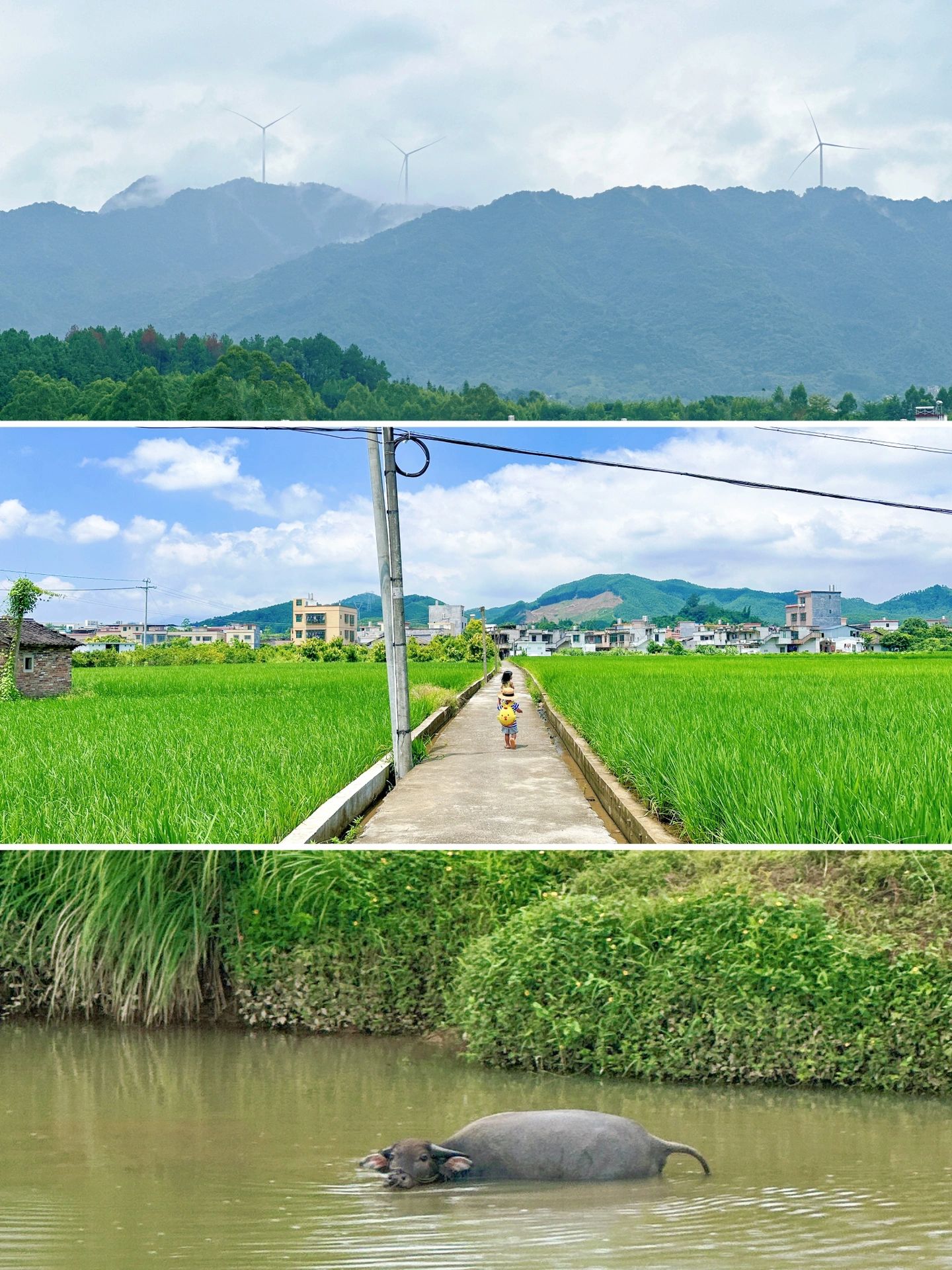 亲子游⛺小众溯溪露营地两天一夜带娃这样玩