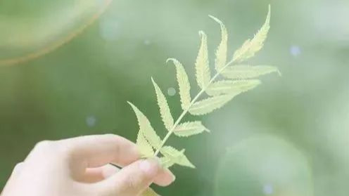 穿越千年领略古人的风雅﻿ ： 一个悲伤的男人《 邶风 绿衣》