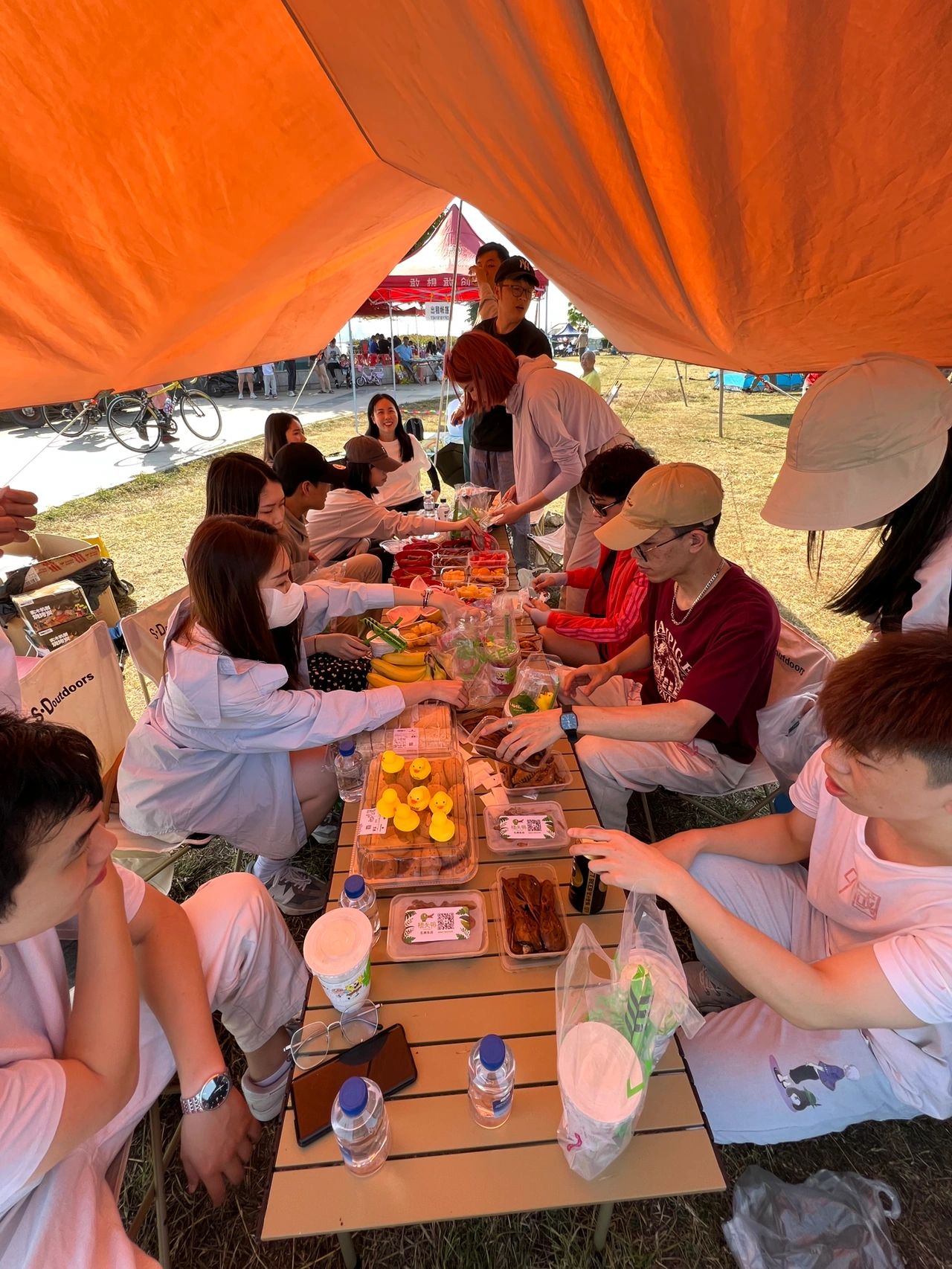 广州番禺海鸥岛露营⛺️