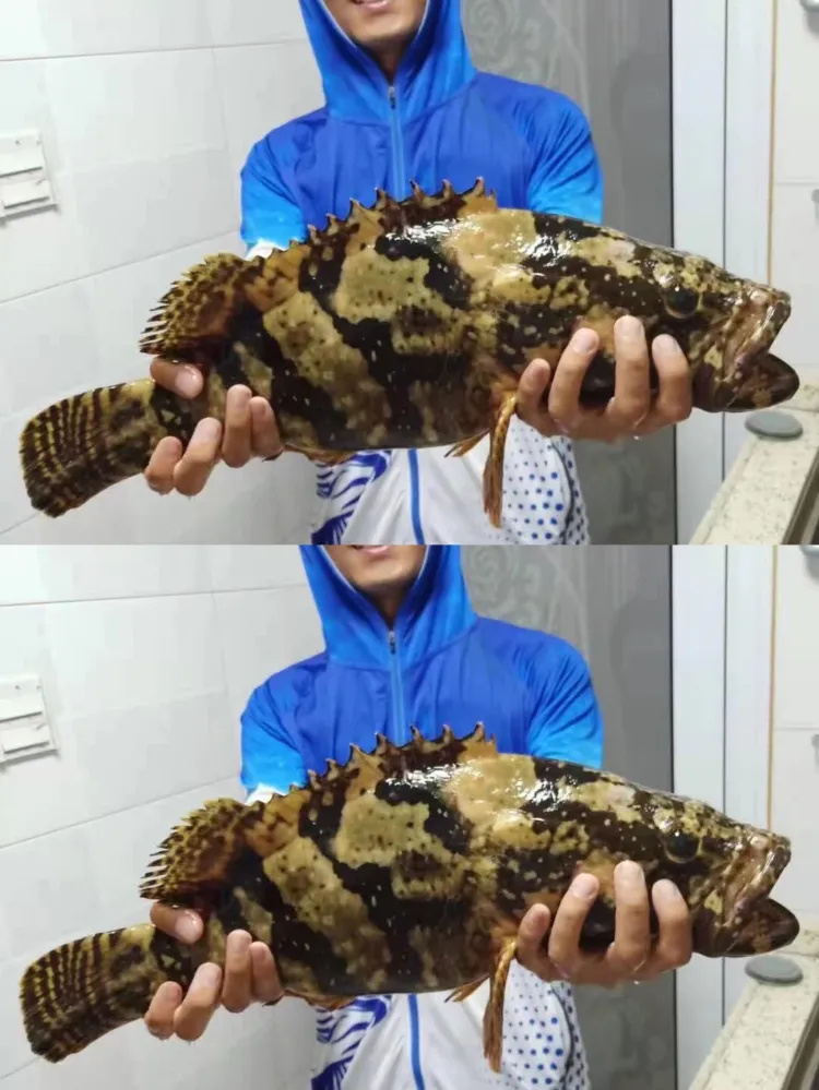 深圳海钓推荐🎣人均66包船出海钓鱼 