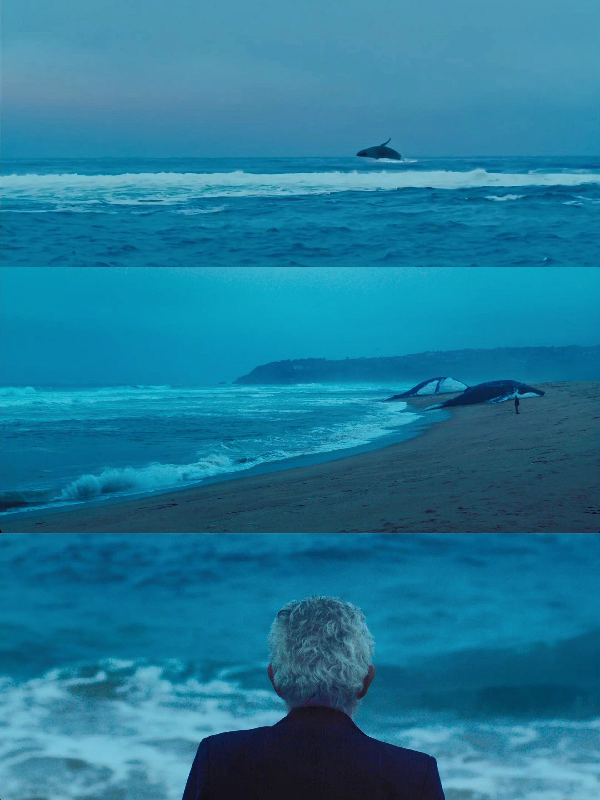 遗忘里的遗忘，才是真正的遗忘