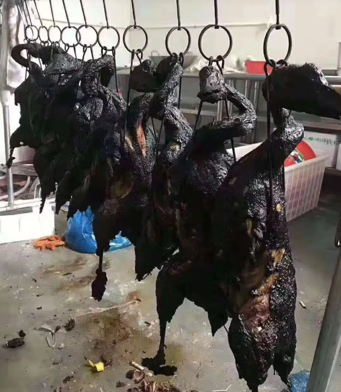 这不快到年了吗，口袋还是空空，学了一个月的烧鸭，想着可以出去摆摊卖烧鸭了，赚点钱