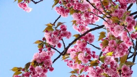 我怀疑老公出轨了，怎么办？求帮助