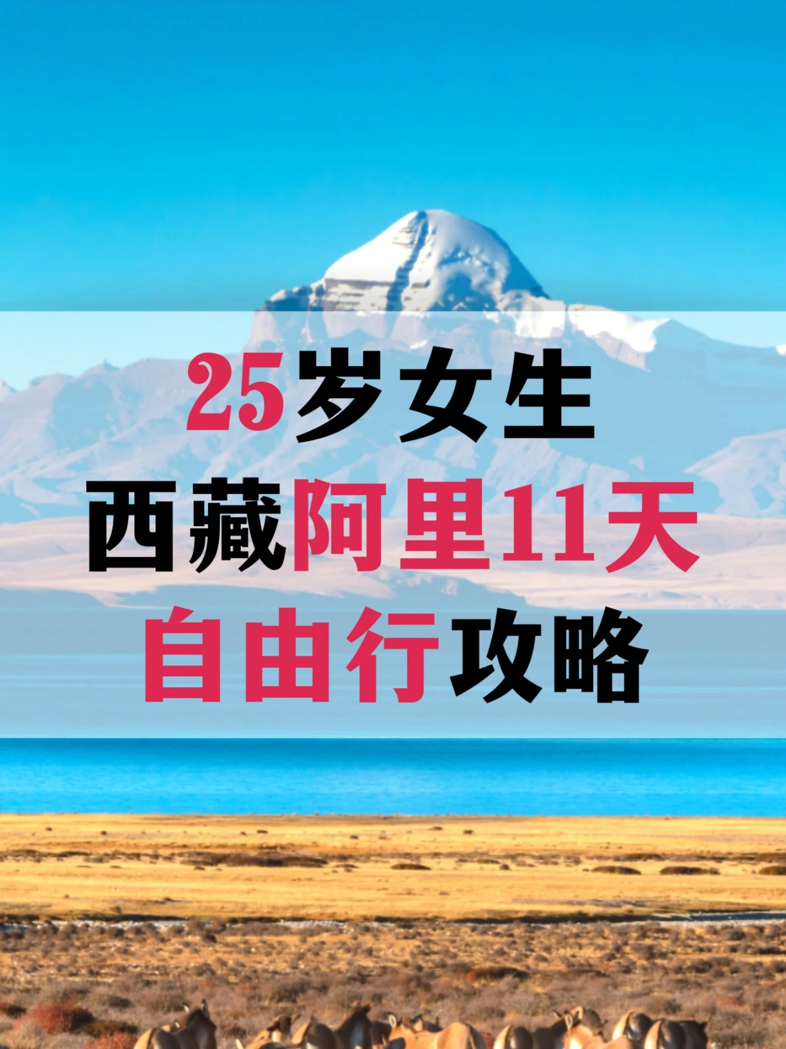 25岁女生去西藏阿里自由行攻略！