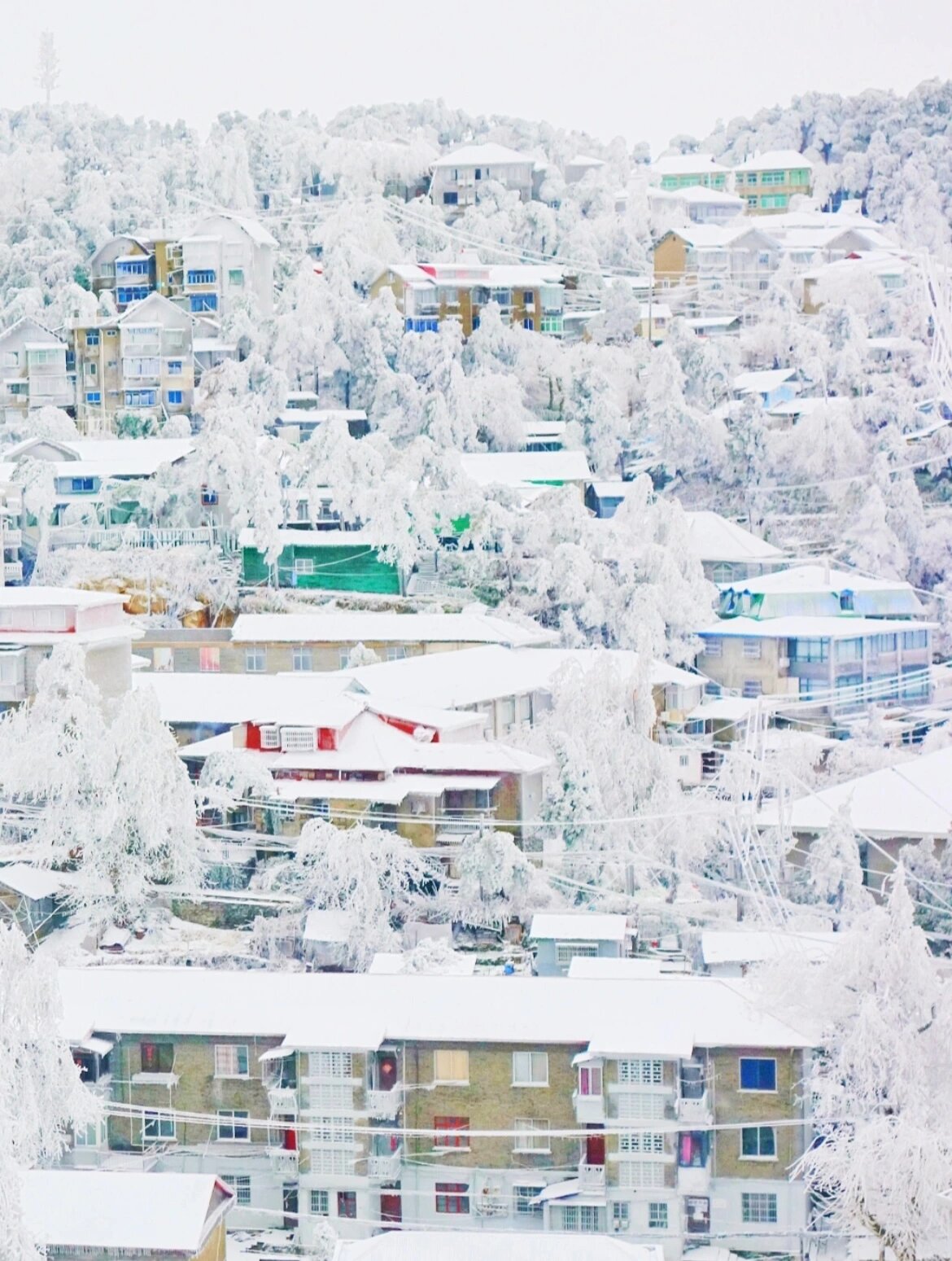 今年冬天也一起去庐山看雪吧