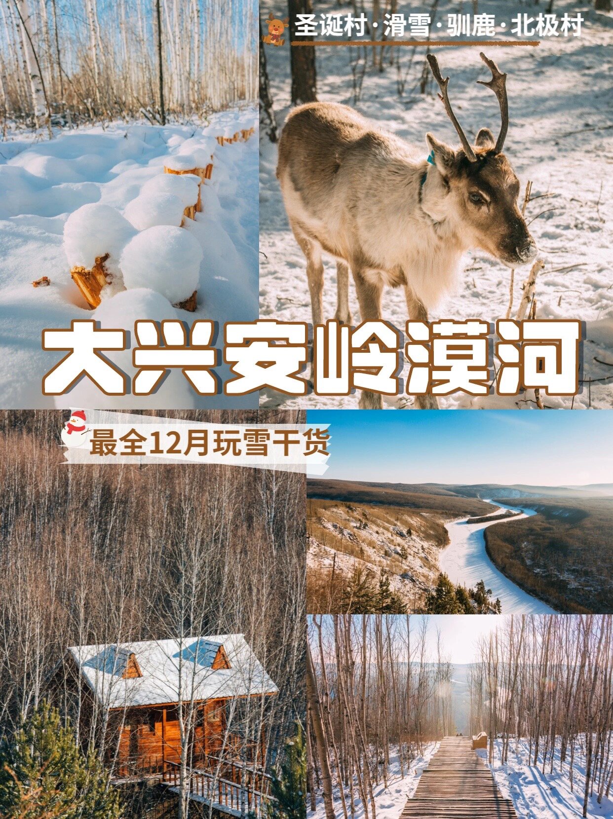 听劝去了漠河！真的美哭我了😭明年我还来