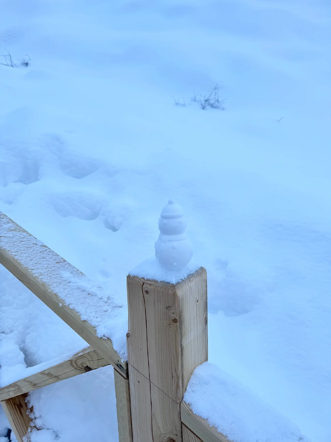 心心念念的雪都阿勒泰丨我来啦~