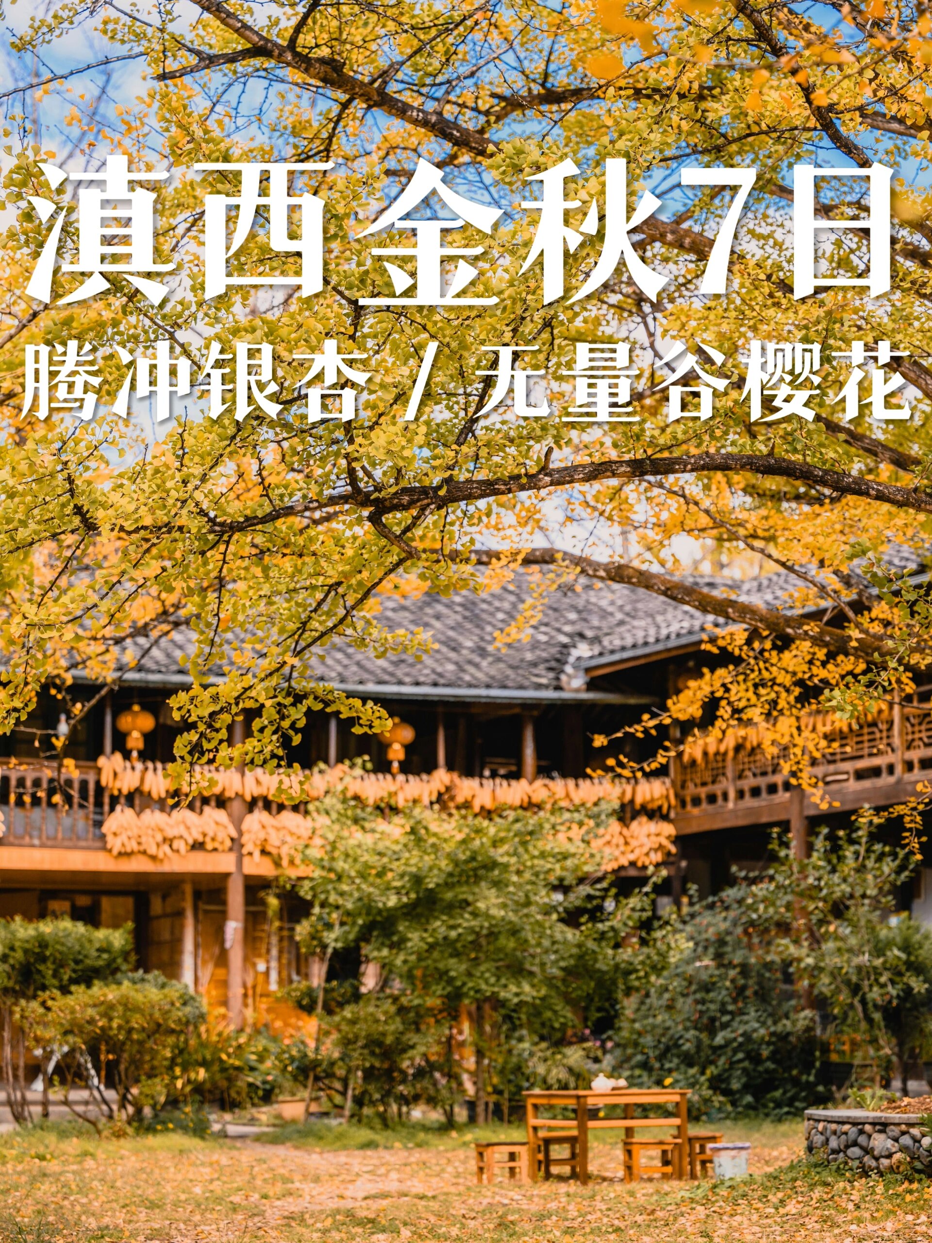 速码❗这3个景点，藏着滇西醉美的秋天
