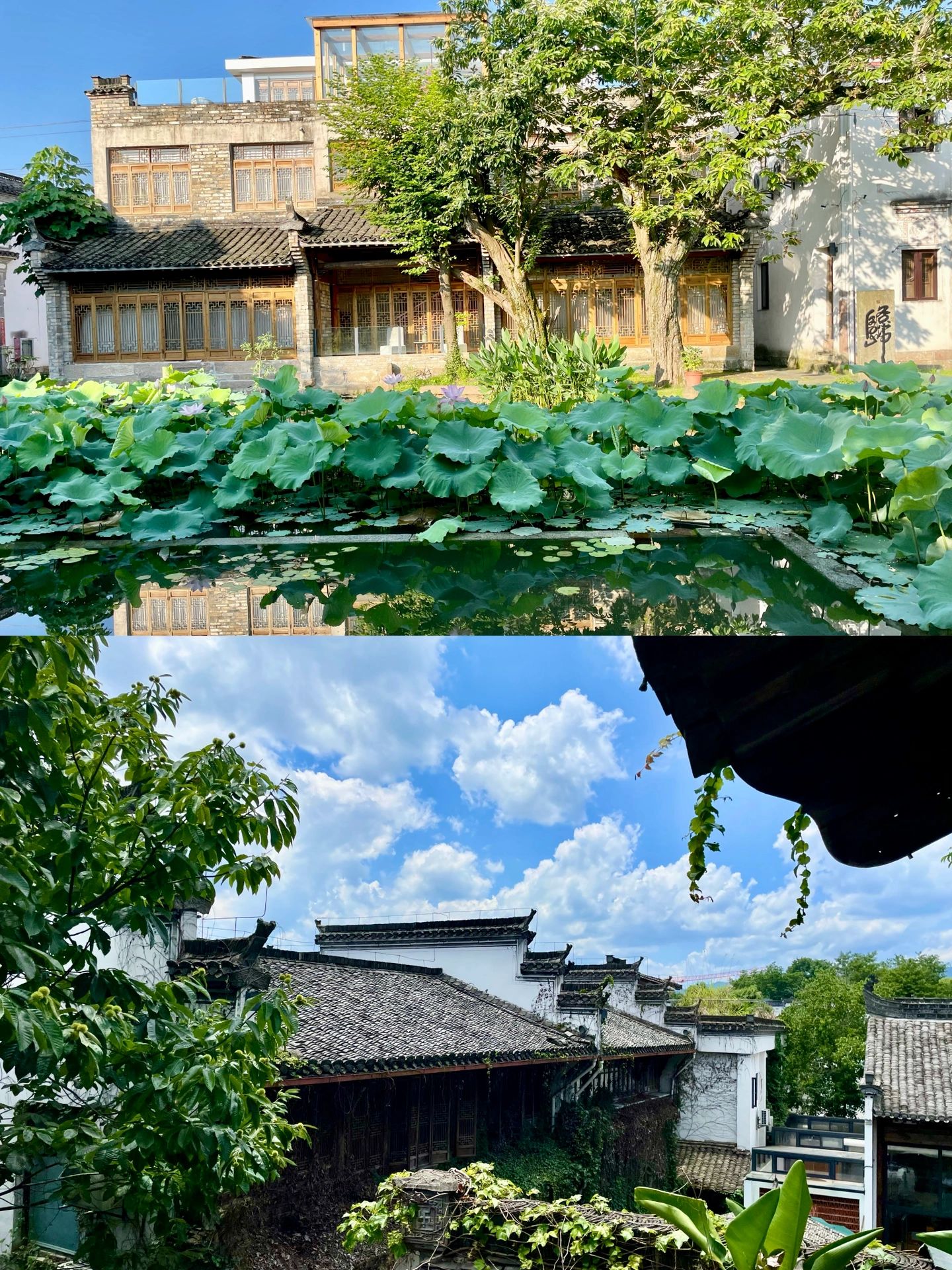 夏日玩水|走呀！去绿野仙踪🌿玩水避暑