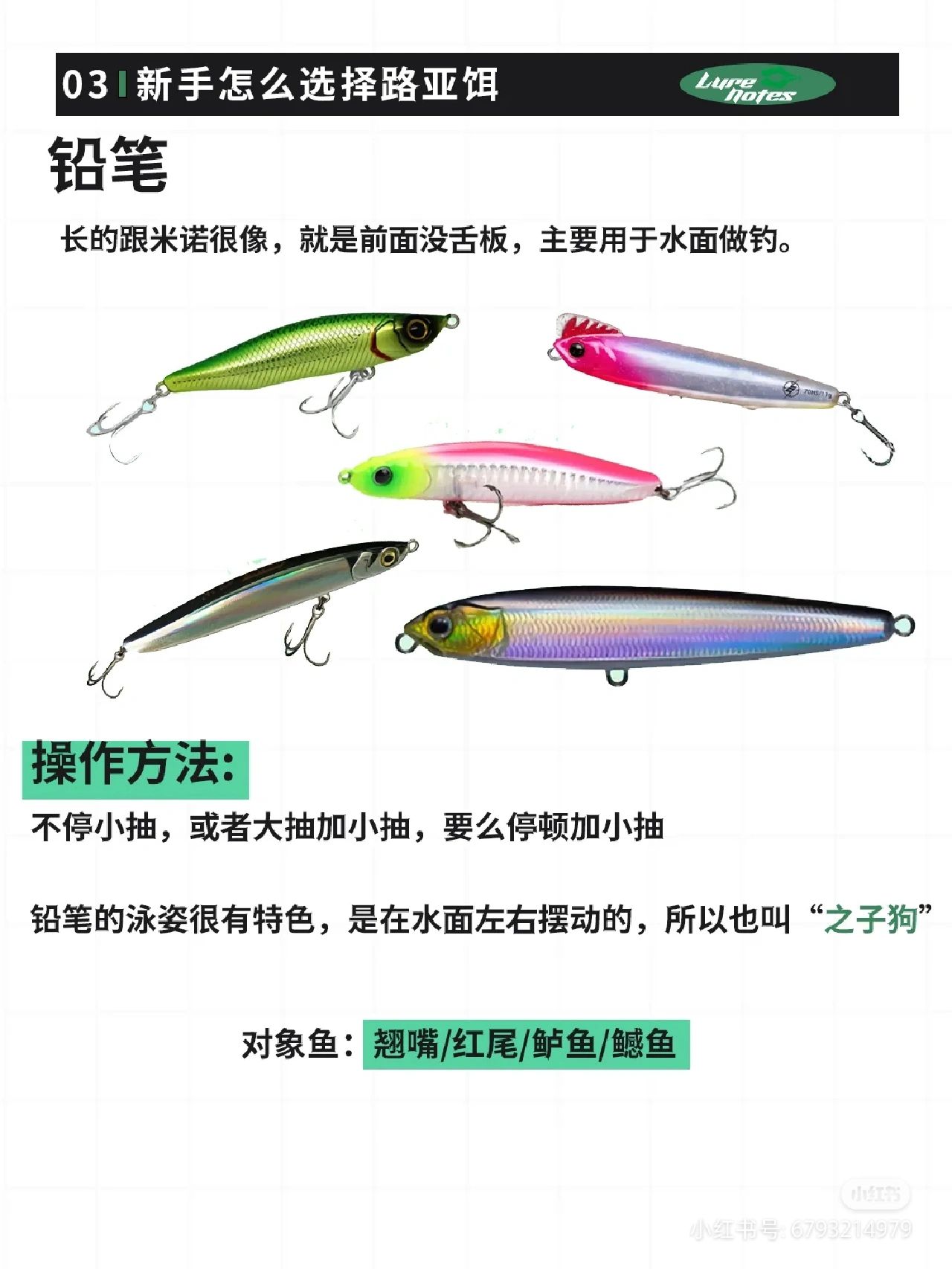 路亚饵，新手入门，了解一下路亚饵