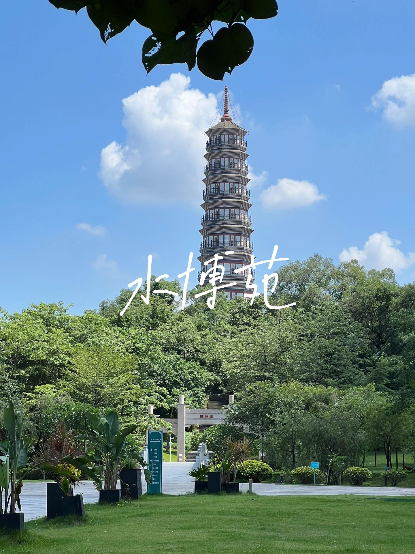 广州露营｜露营好去处👉水博苑