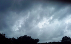 被亲生父母和哥哥赶出家门后，随手买的彩票中奖了，他们又求着我回来。