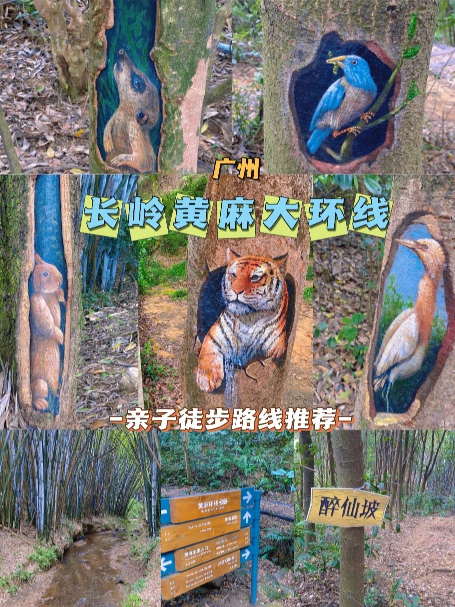 黄麻村|广州亲子徒步路线推荐
