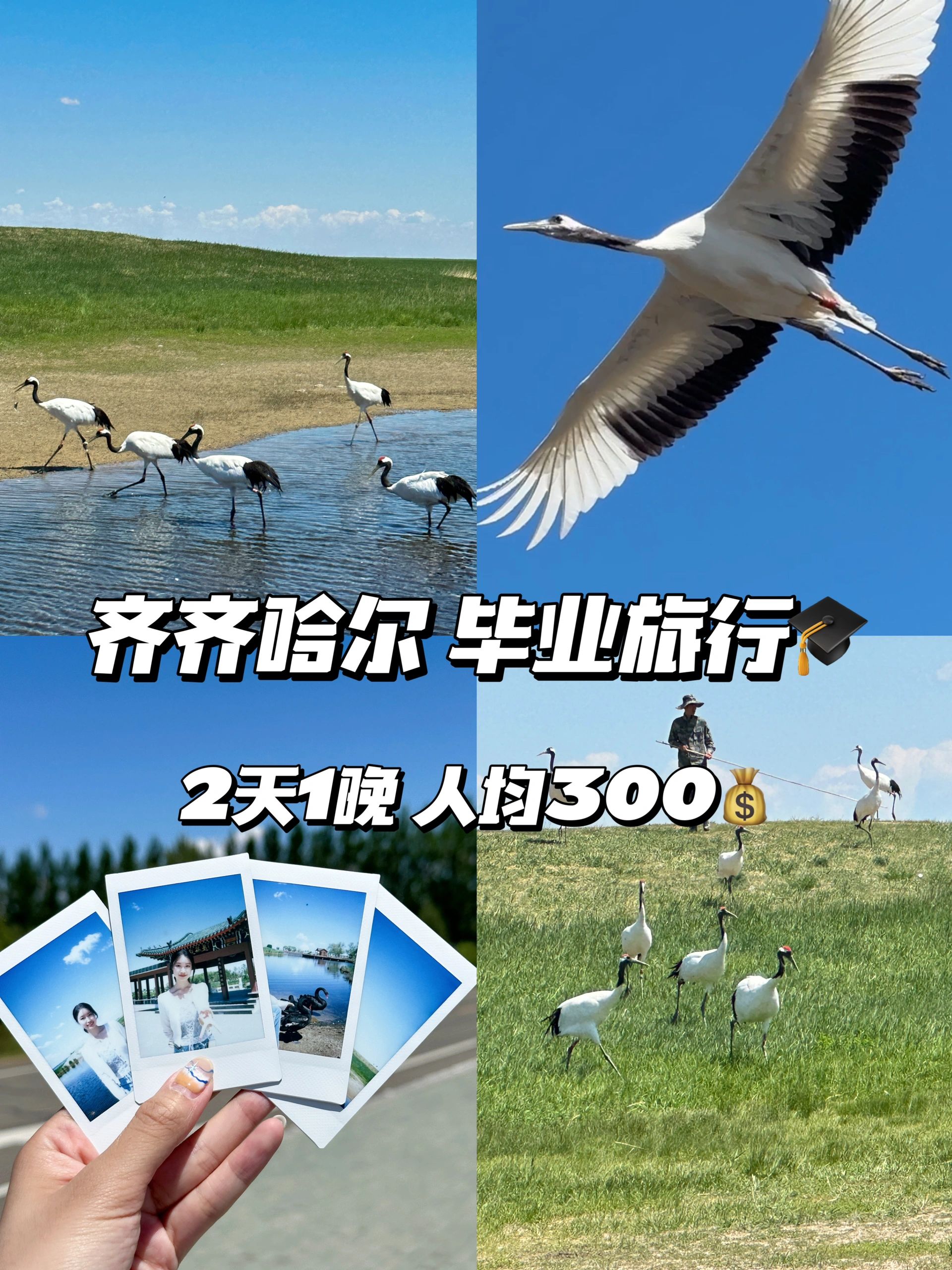 齐齐哈尔2天1晚，避暑观鹤攻略