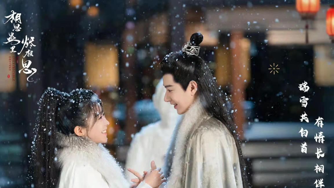 《烬相思》：翩翩公子恋上将军小姐，坎坷艰辛的爱情之路