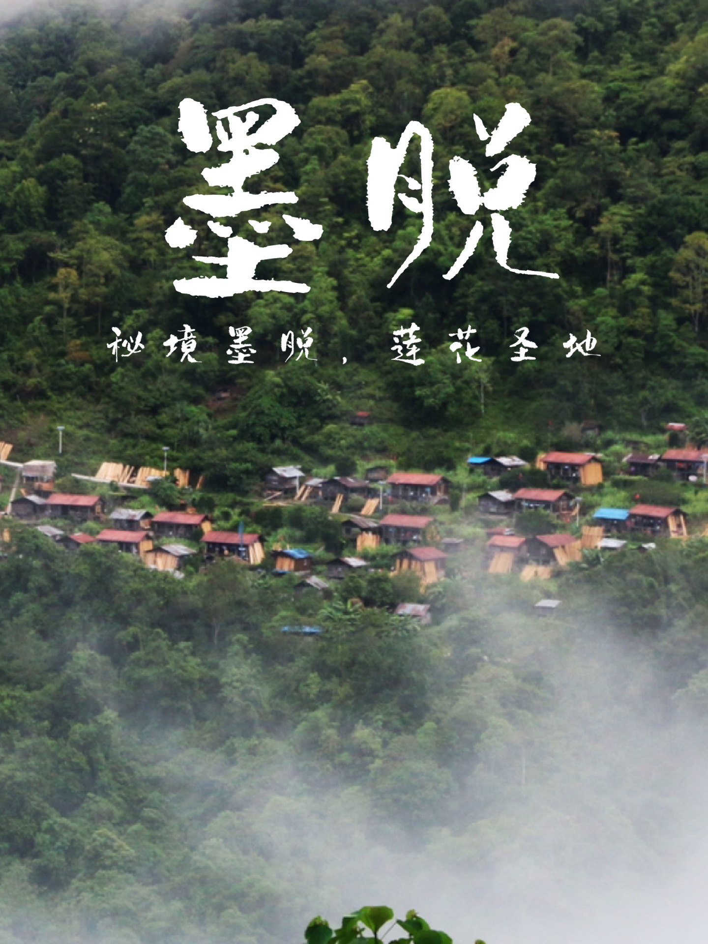 目之所及皆是伟大墨脱