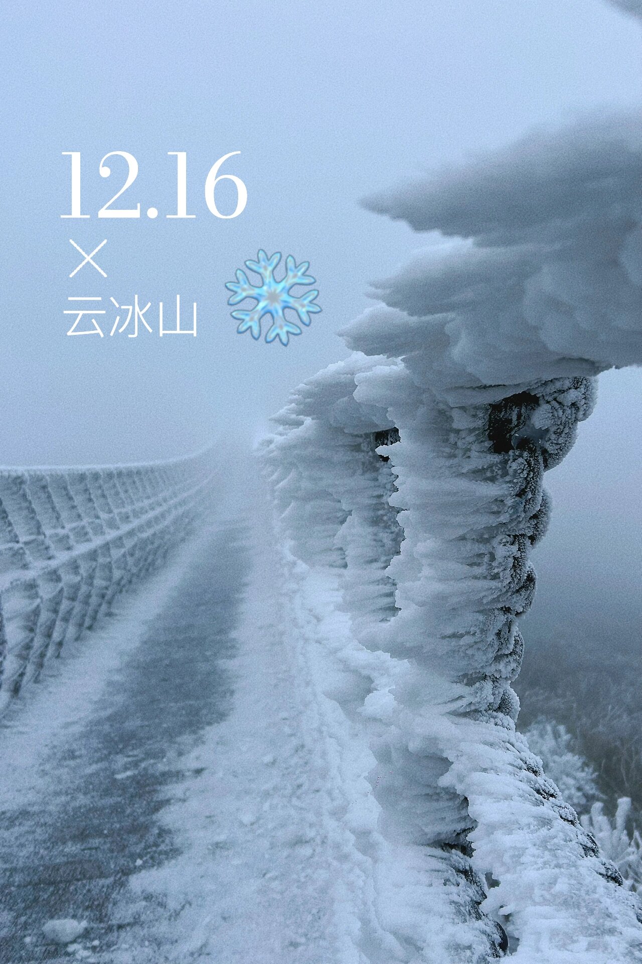 广东也可以看到雪了｜云冰山赏雾凇冰挂