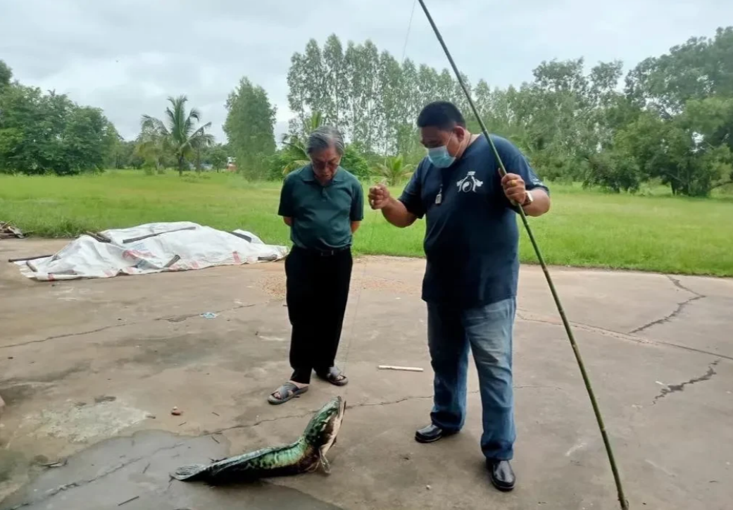 第一次看他们钓到这样的鱼，不知道屏幕前的朋友们有没有认识这个鱼的？
